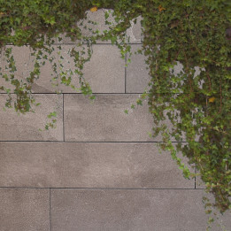 GRES PORCELANICO EVOLUTION GRAY