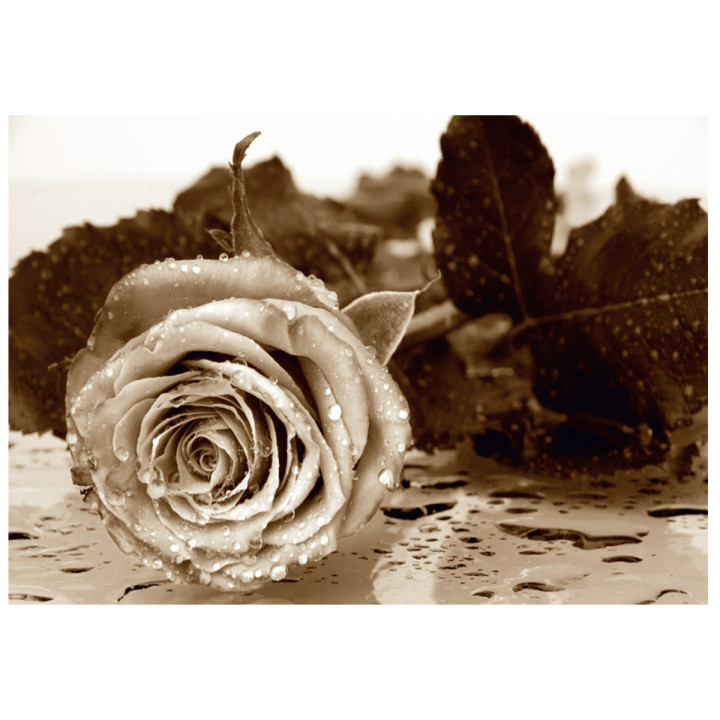 FOTOMURAL ROSA B/N