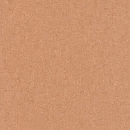 PAPEL I.  NOMAD  A 51021