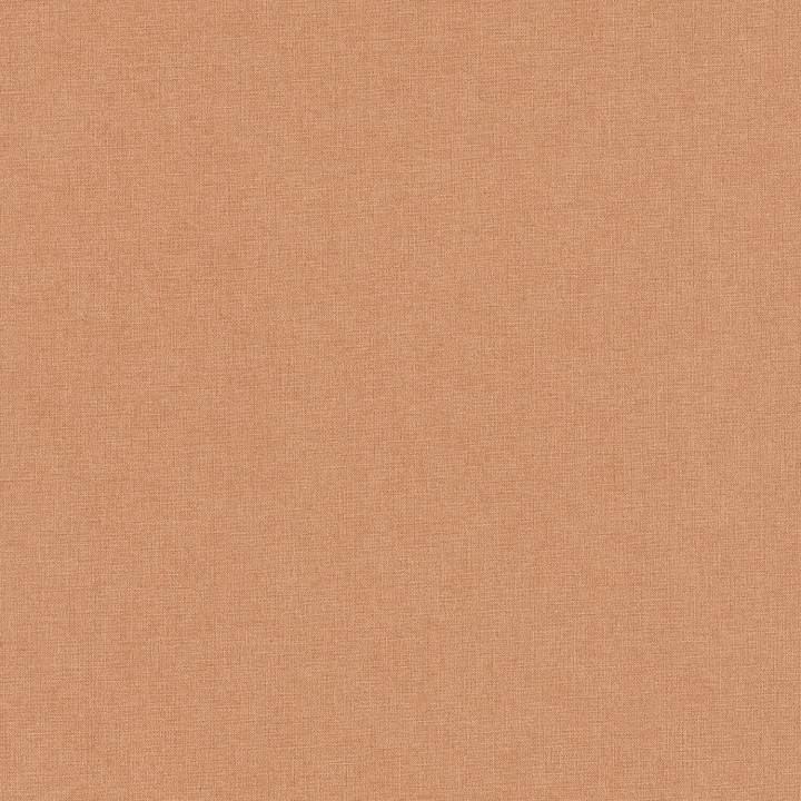 PAPEL I.  NOMAD  A 51021