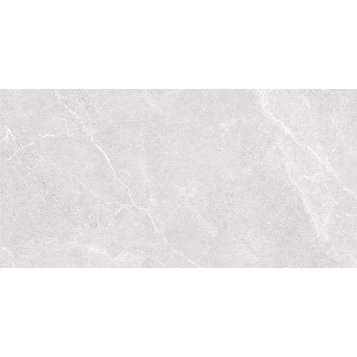 GRES PORCELANICO OGLIO SILVER 30X60