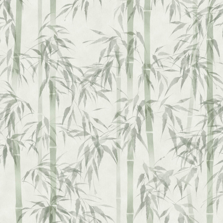 PAPEL I. MONA 81674