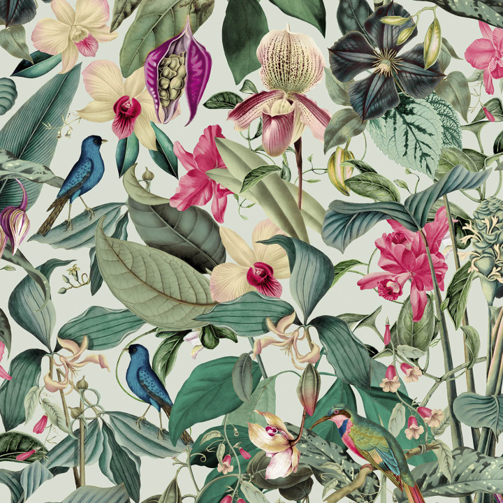 PAPEL I. MONA 81684