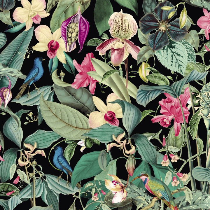 PAPEL I. MONA 81685